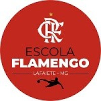 FLAMENGO LAFAIETE - SUB-13